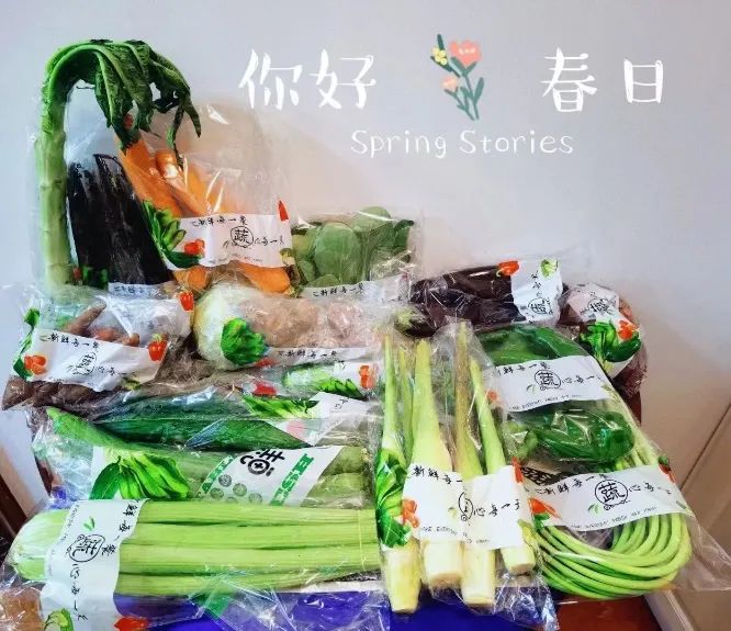 蔬菜包