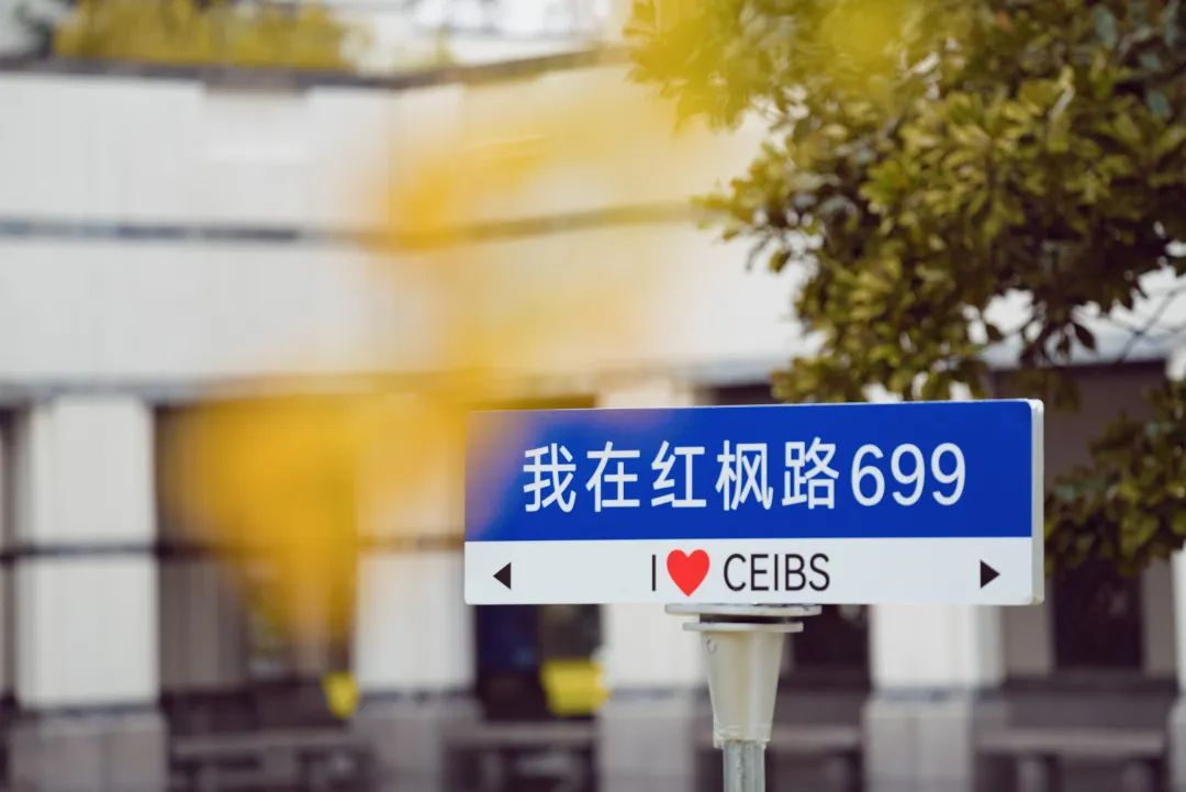 红枫路699