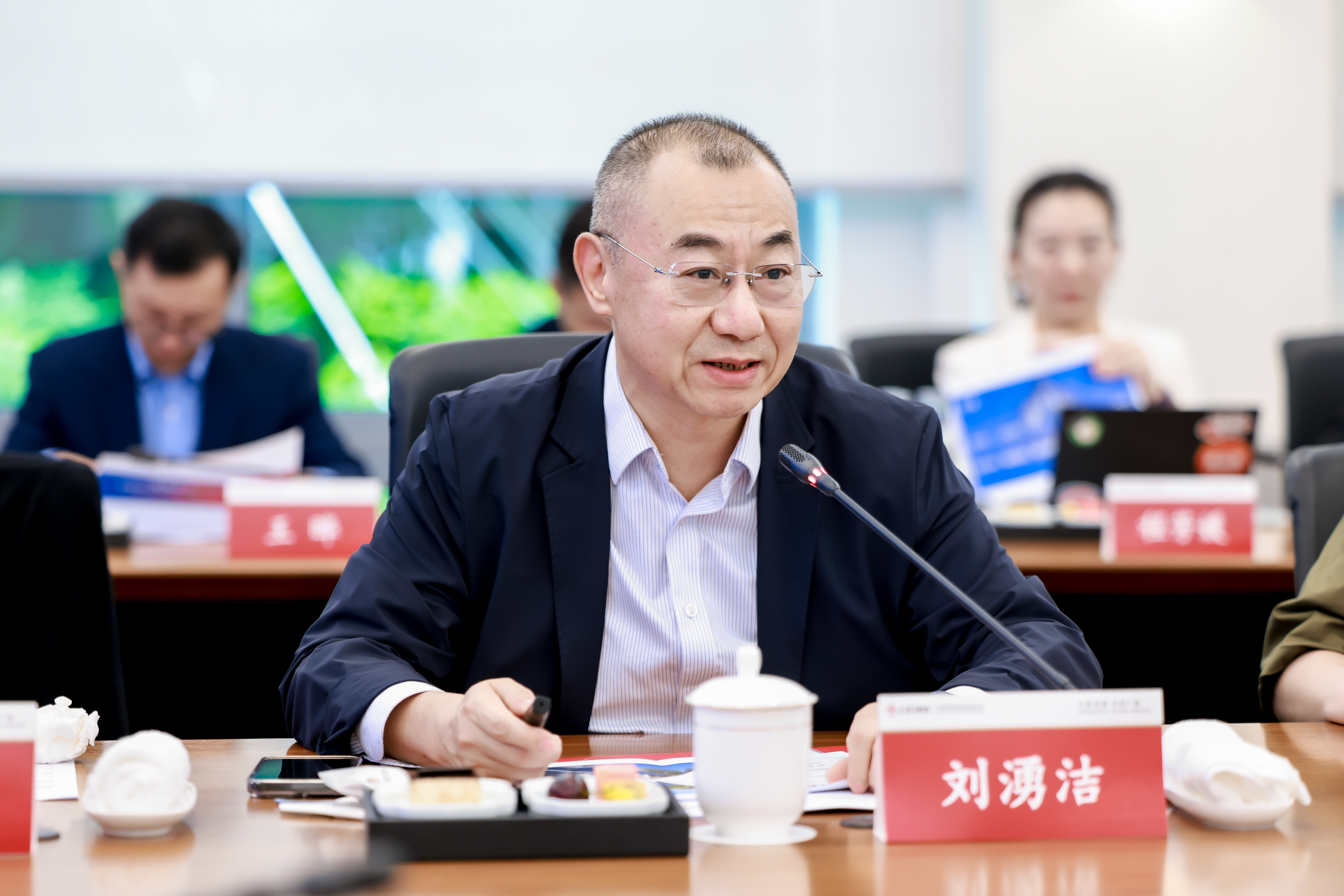 刘湧洁秘书长做工作报告