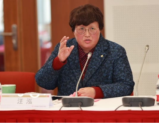 汪院长发言