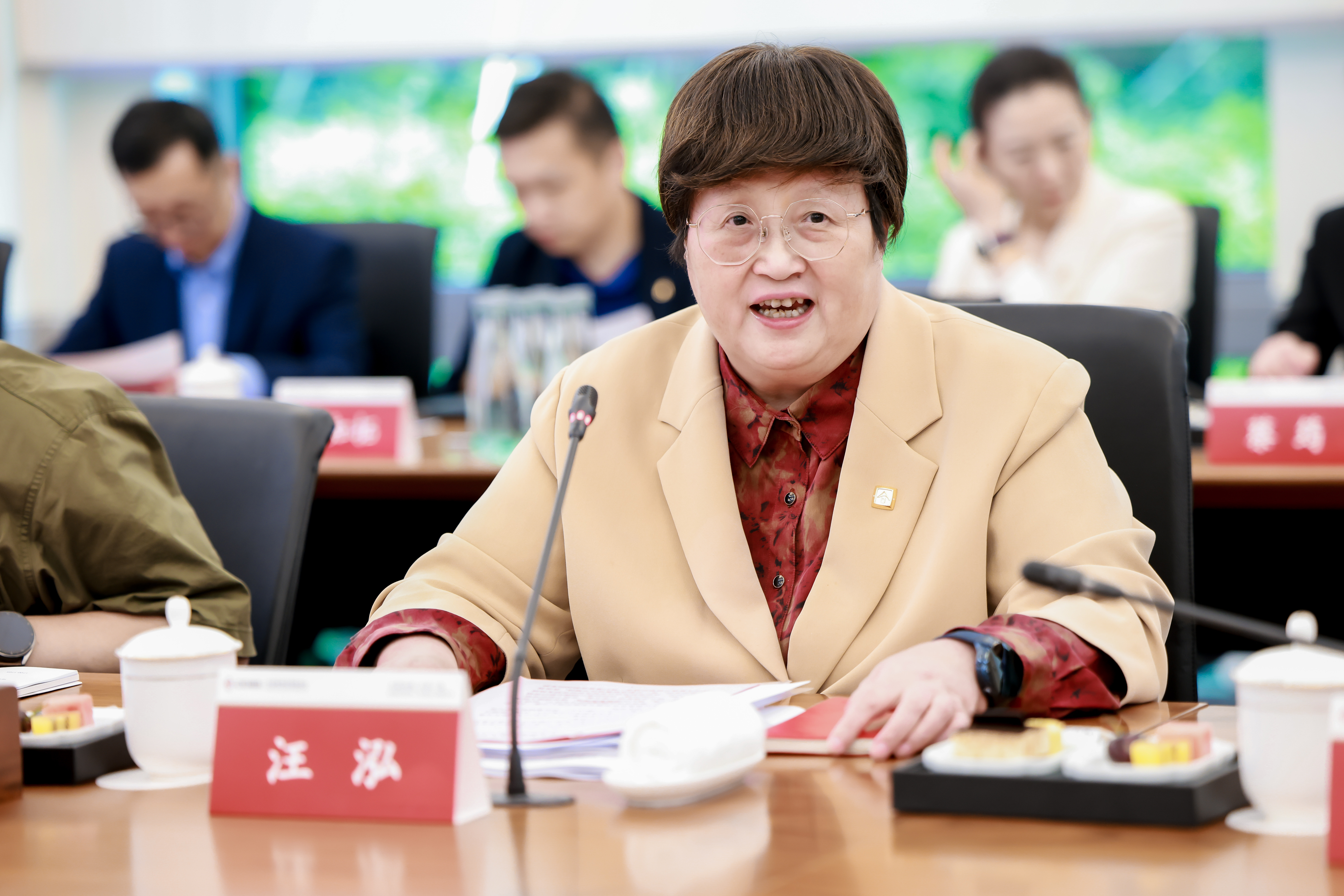 汪泓院长