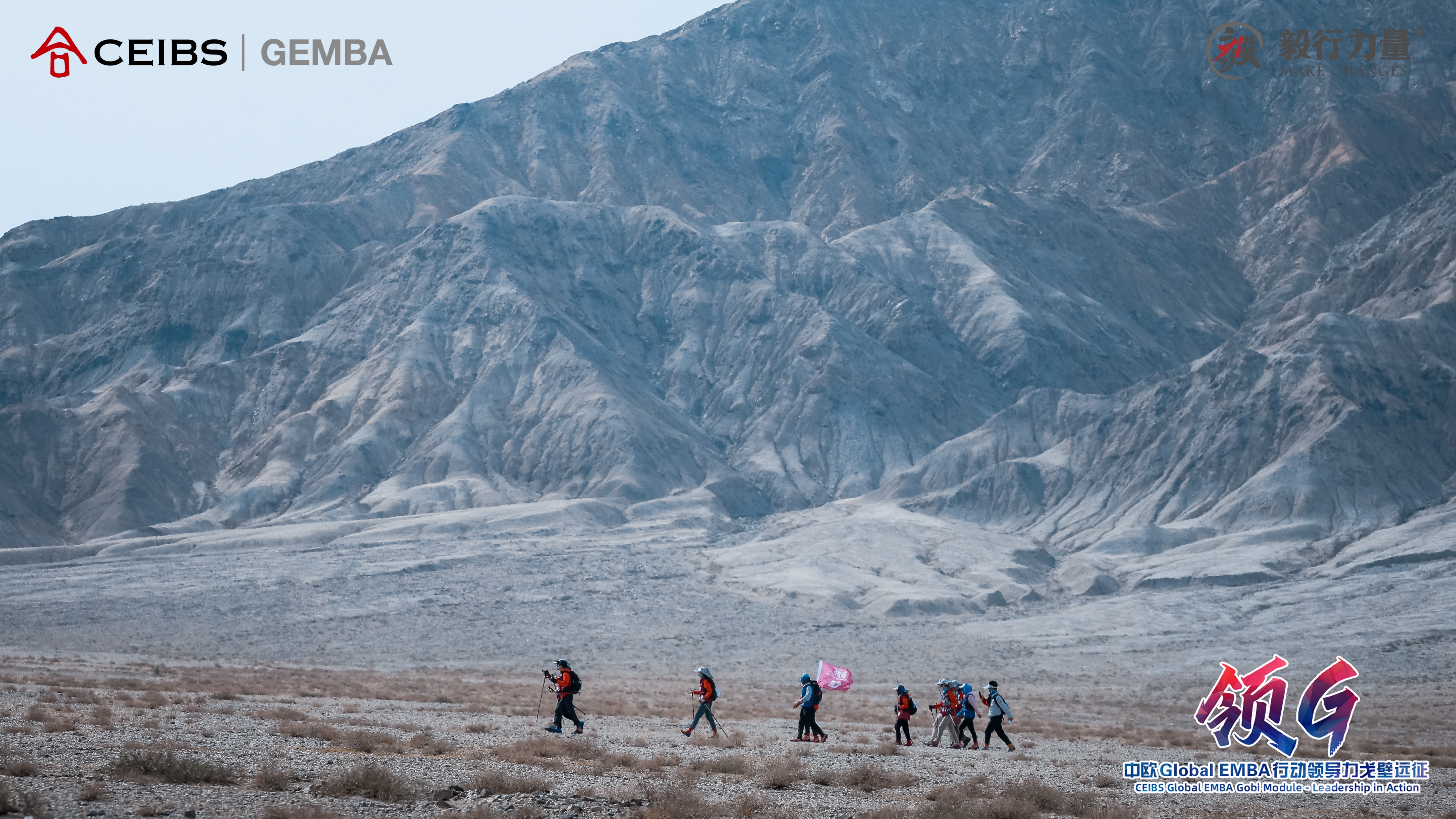 Leadership in Action